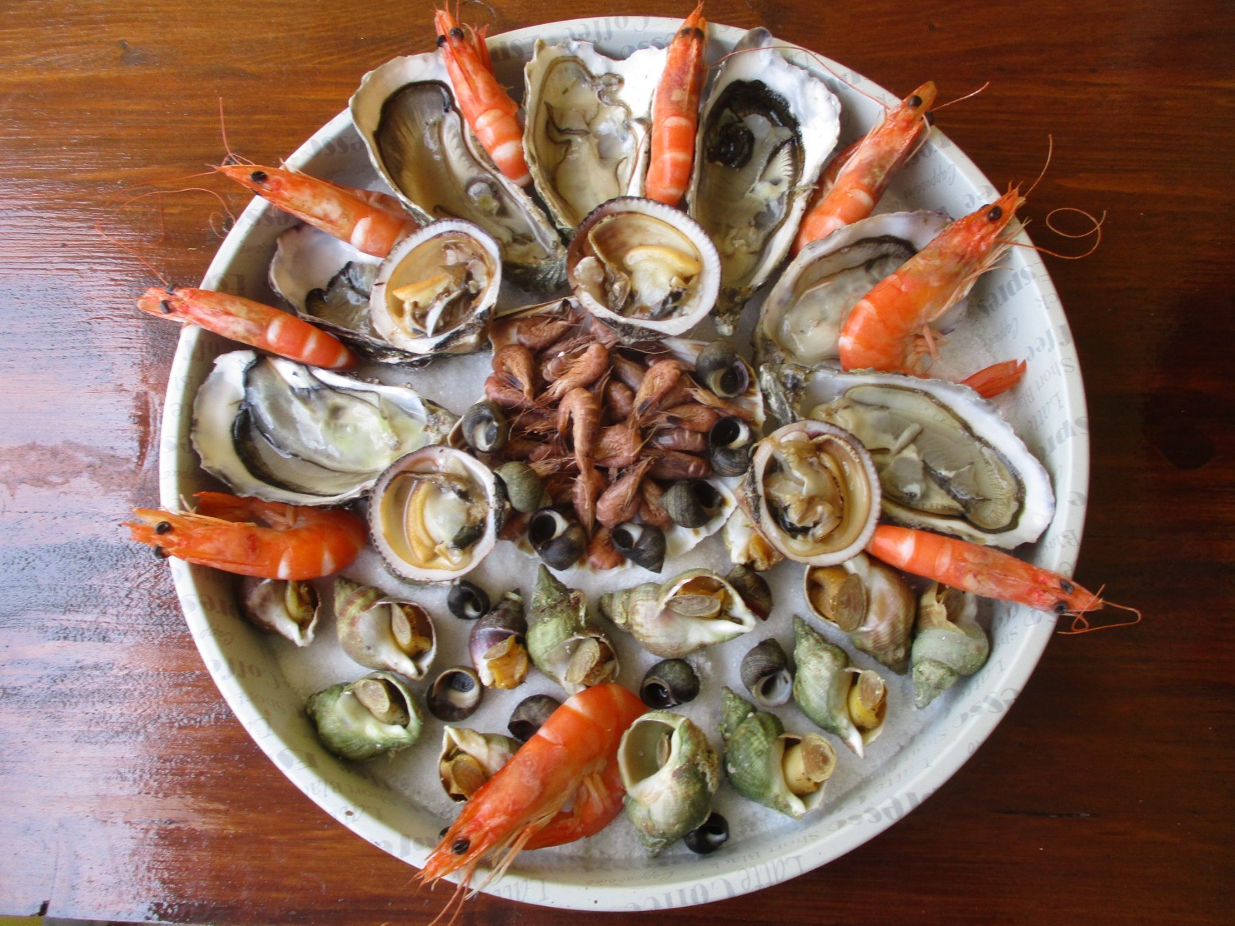 nuit opale calais fruits de mer appartements saisonniers nuit opale calais fruits de mer appartements saisonniers