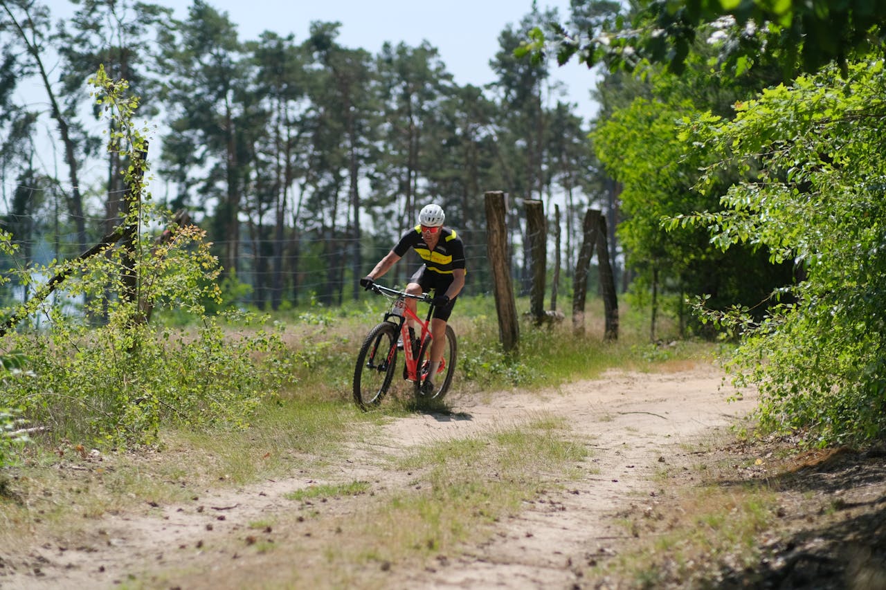 vtt